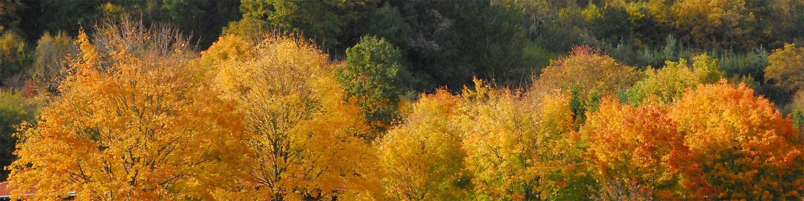 Herbstliches Farbenspiel in der Fränkischen Schweiz