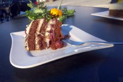 Impressionen vom Hofcafe in Elsenberg